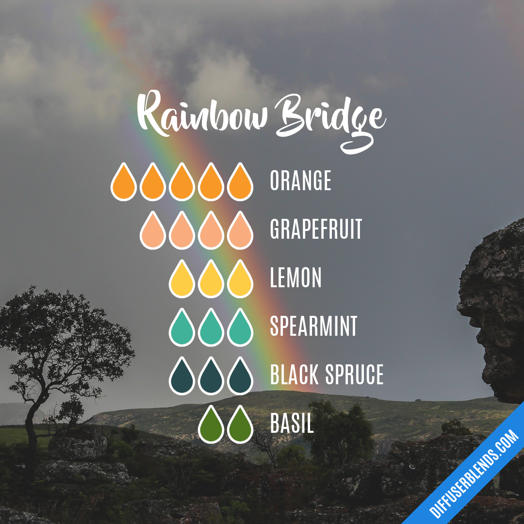 Rainbow Bridge — Essential Oil Diffuser Blend