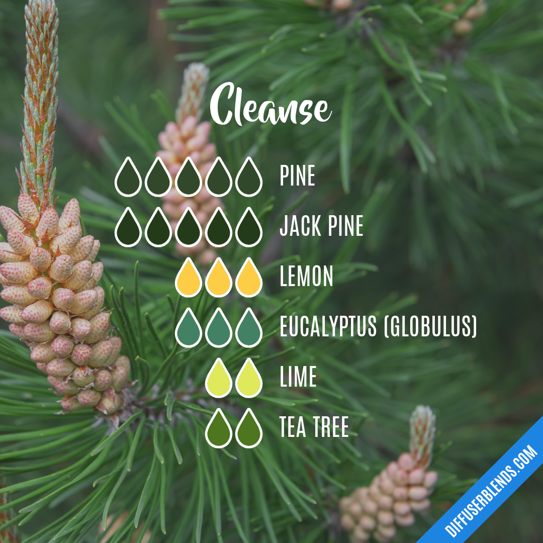 Cleanse — Essential Oil Diffuser Blend