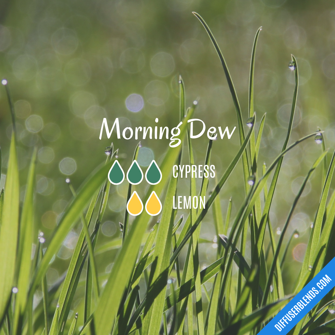 Morning Dew — Essential Oil Diffuser Blend