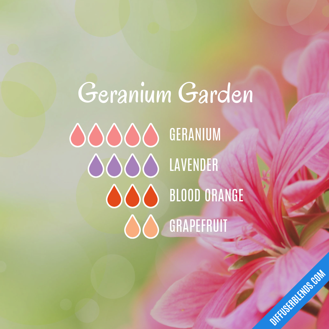 Geranium Garden — Essential Oil Diffuser Blend