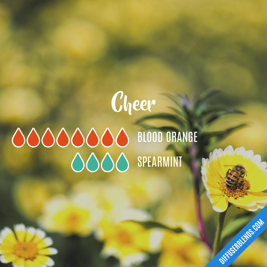 Cheer | DiffuserBlends.com