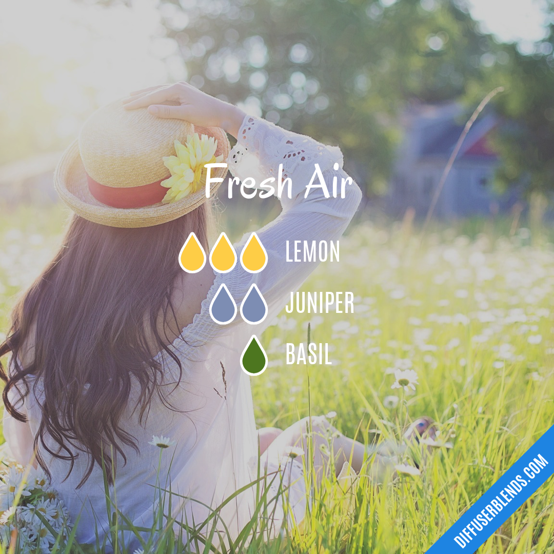 Fresh Air — Essential Oil Diffuser Blend