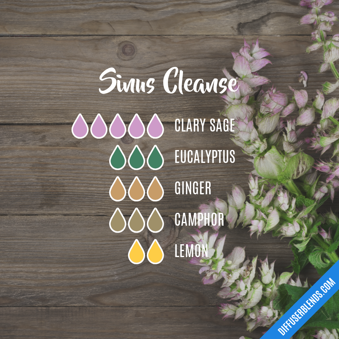 Sinus Cleanse — Essential Oil Diffuser Blend