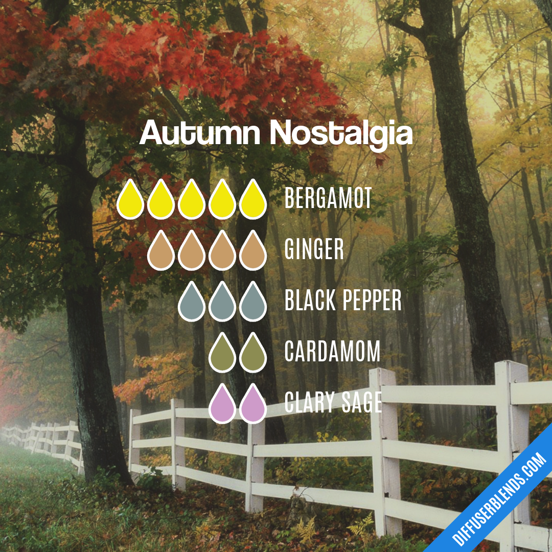 Autumn Nostalgia — Essential Oil Diffuser Blend