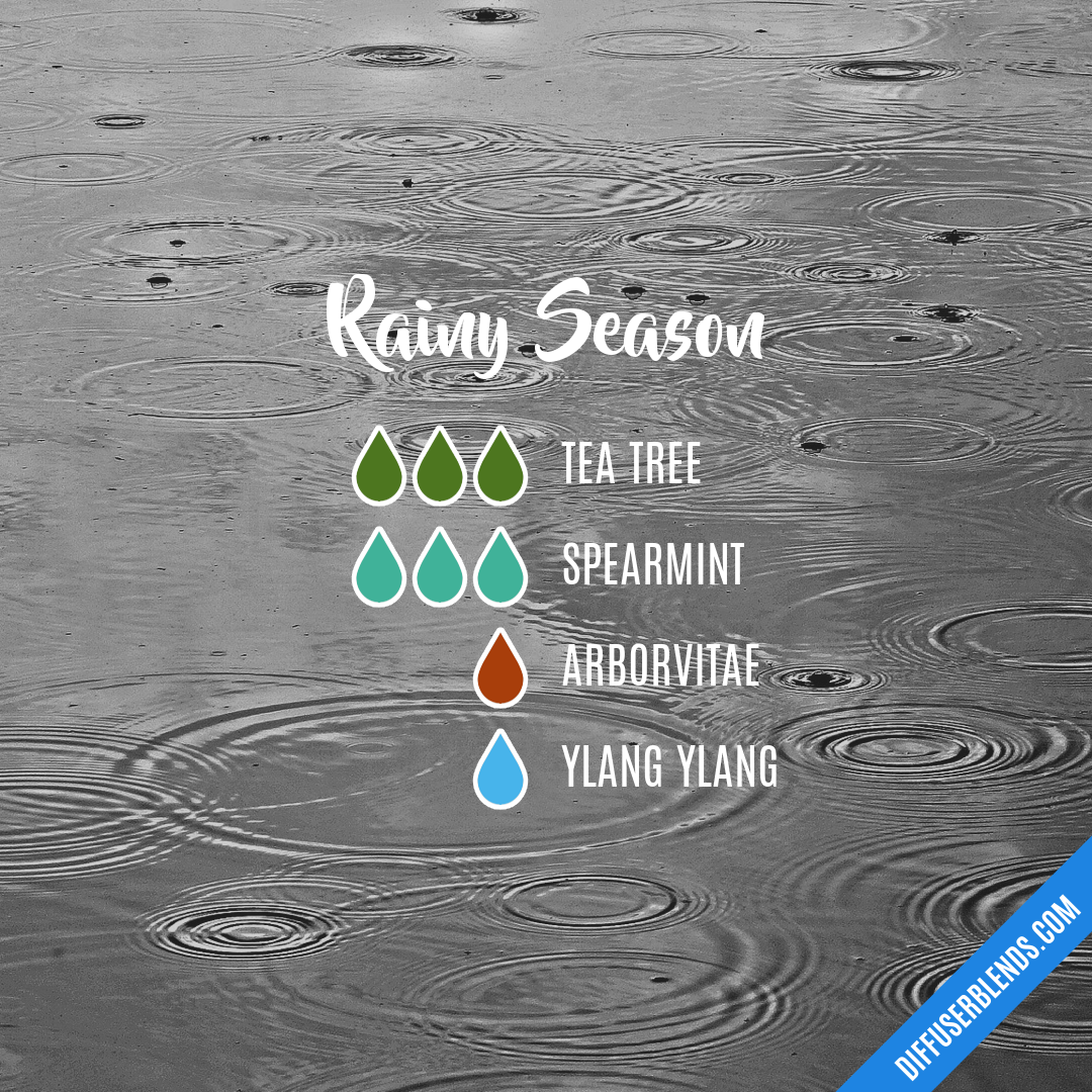 Rainy Season | DiffuserBlends.com