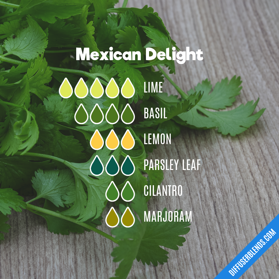 Mexican Delight — Essential Oil Diffuser Blend