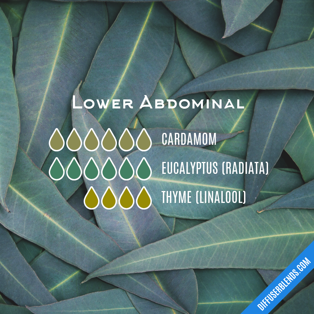 Lower Abdominal — Essential Oil Diffuser Blend