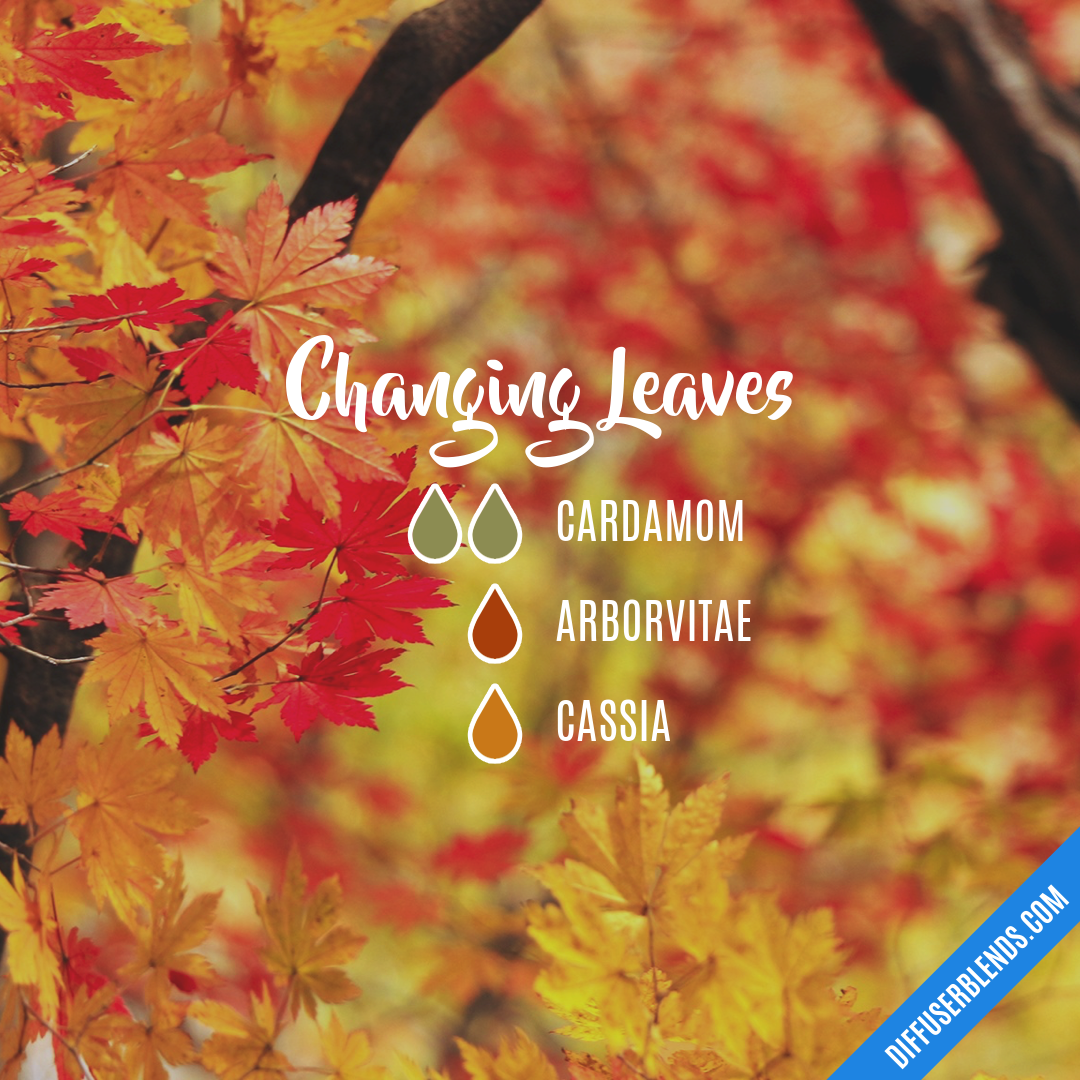 Changing Leaves | DiffuserBlends.com