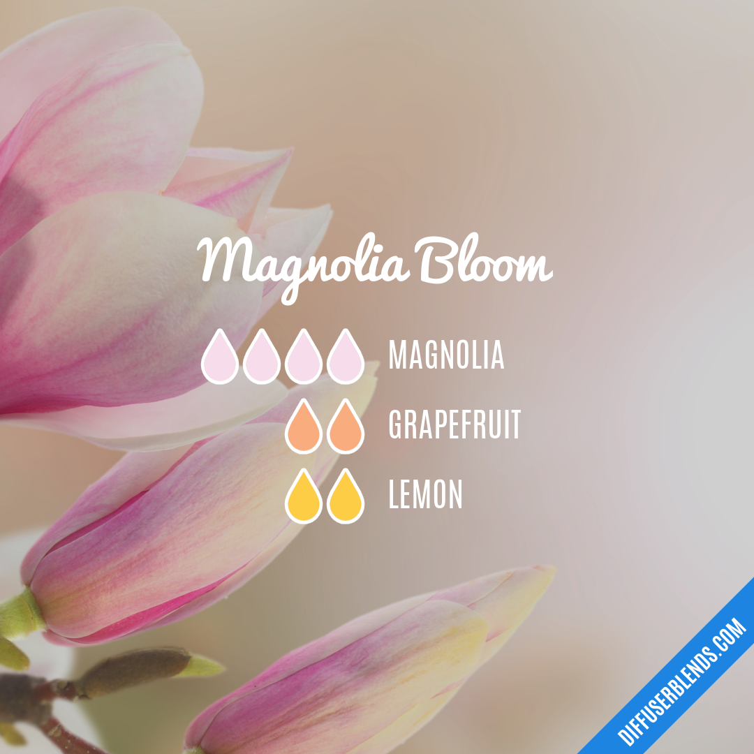 Magnolia Bloom — Essential Oil Diffuser Blend