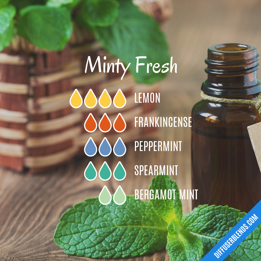 Minty Fresh — Essential Oil Diffuser Blend