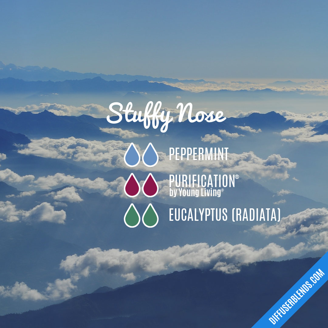 Stuffy Nose — Essential Oil Diffuser Blend