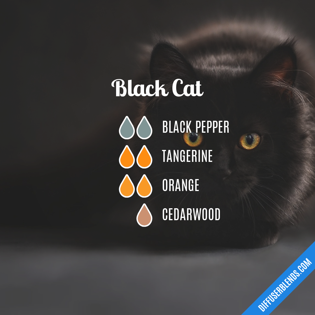 Black Cat — Essential Oil Diffuser Blend