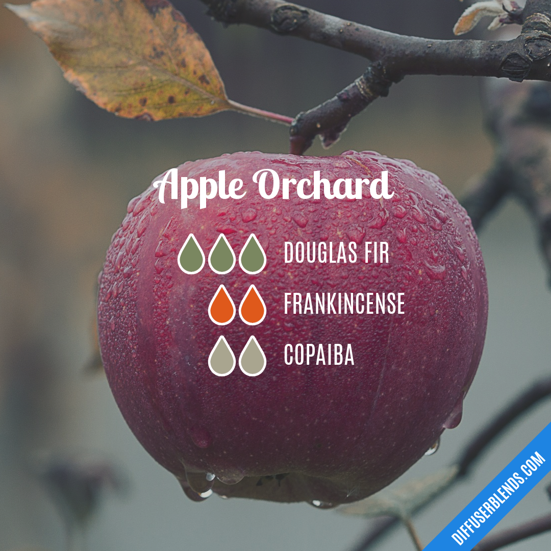 Apple Orchard — Essential Oil Diffuser Blend