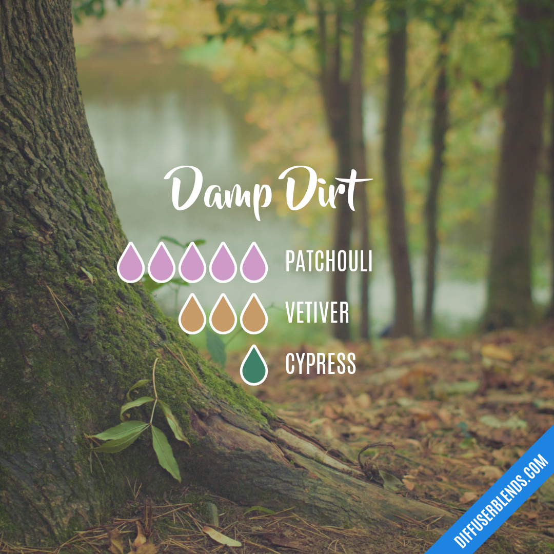 Damp Dirt — Essential Oil Diffuser Blend