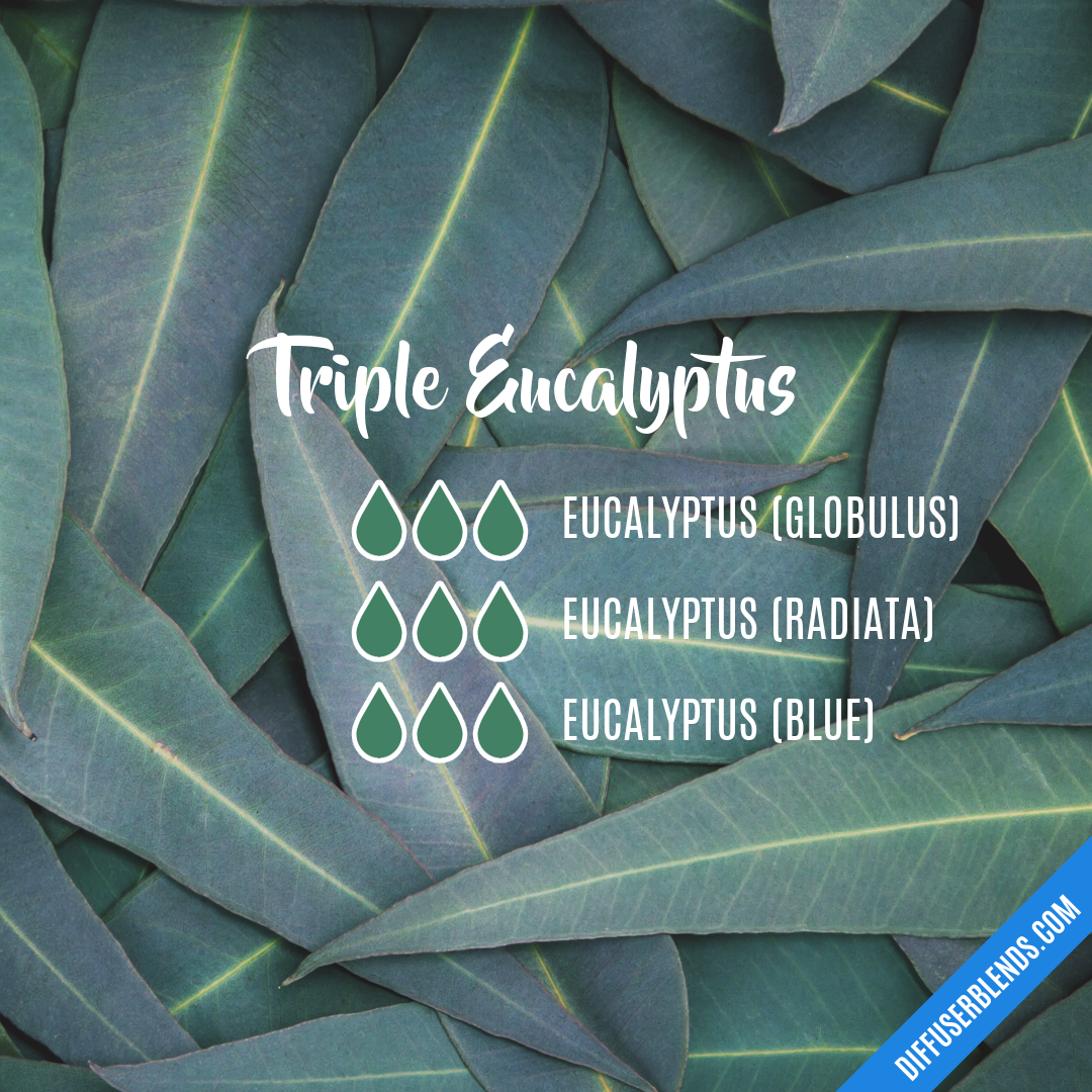 Triple Eucalyptus — Essential Oil Diffuser Blend