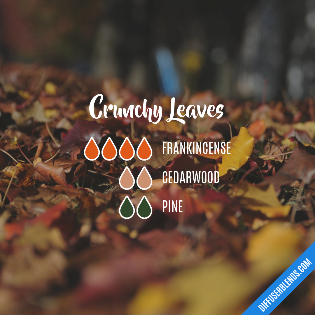 Crunchy Leaves — Essential Oil Diffuser Blend