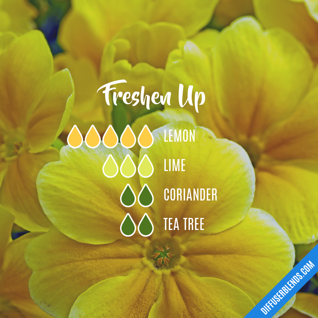 freshen-up-diffuserblends