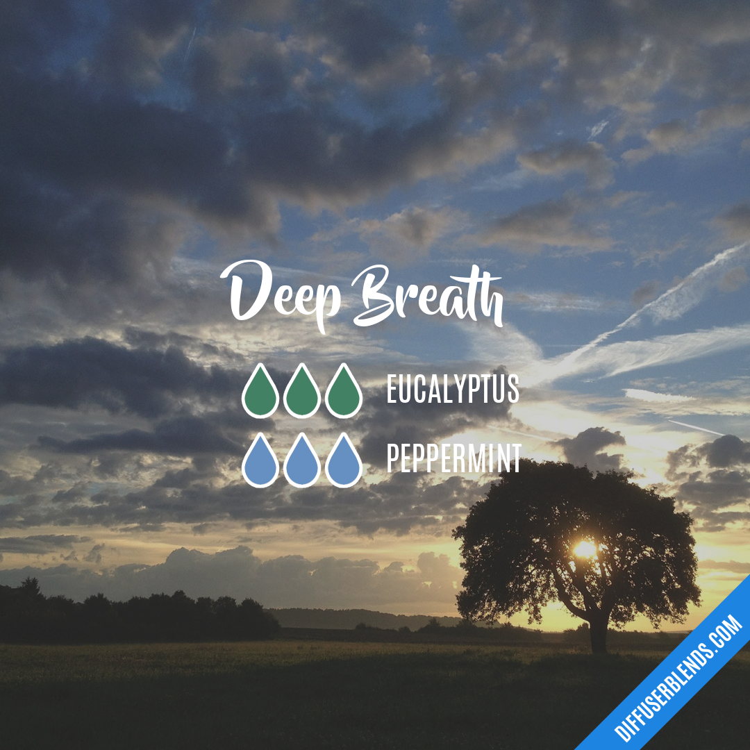 Deep Breath — Essential Oil Diffuser Blend