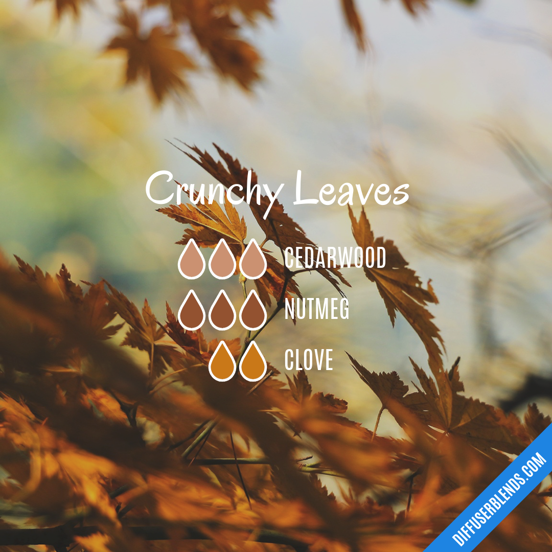 Crunchy Leaves | DiffuserBlends.com