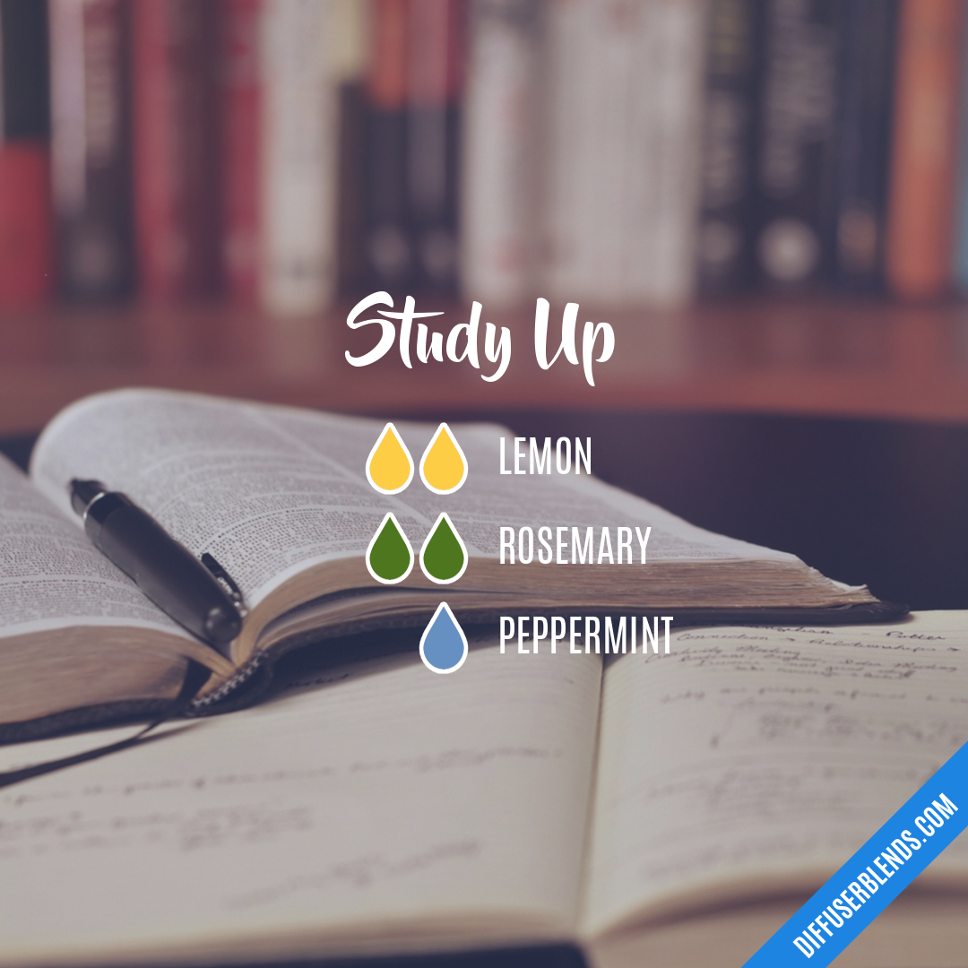 Study Up — Essential Oil Diffuser Blend