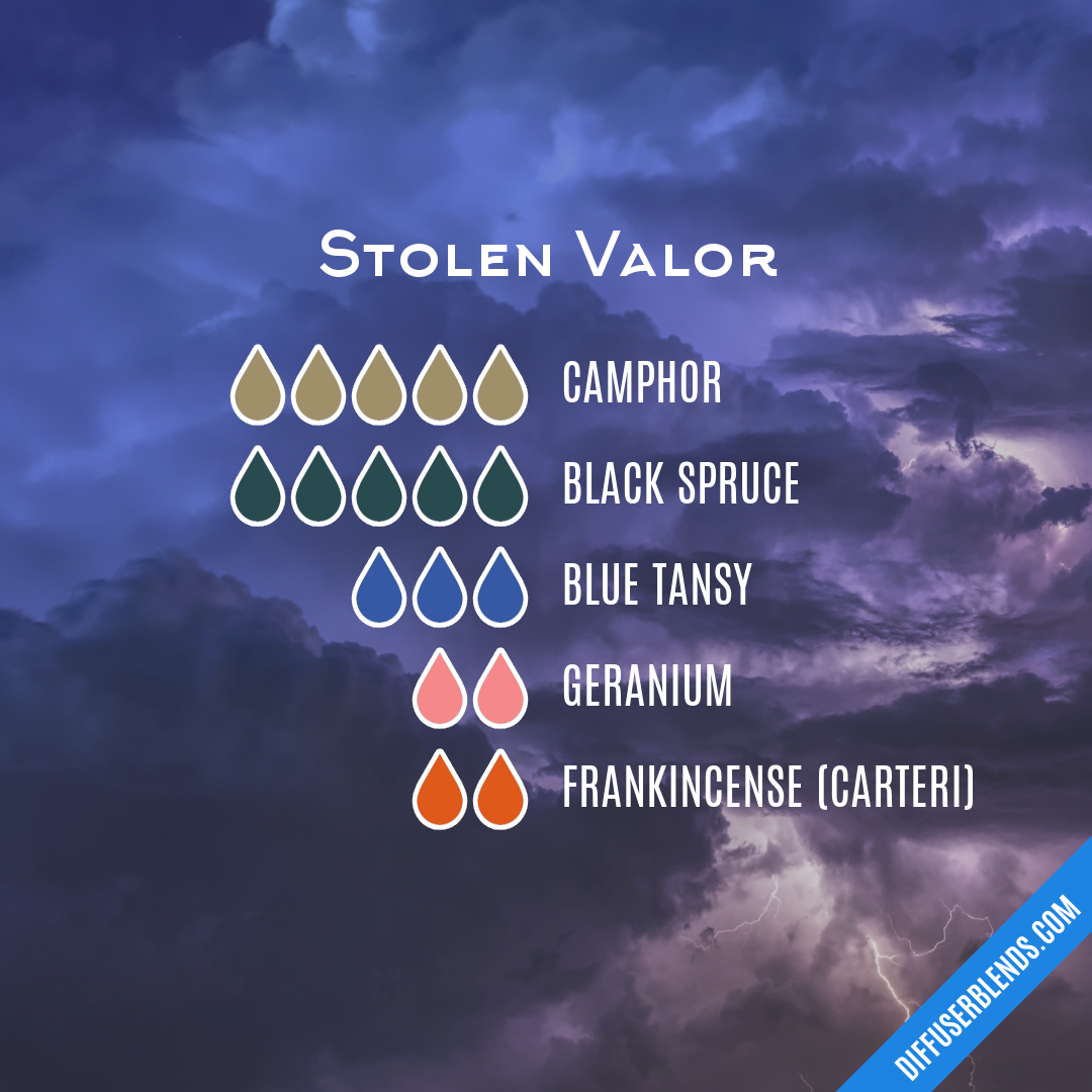 Stolen Valor — Essential Oil Diffuser Blend