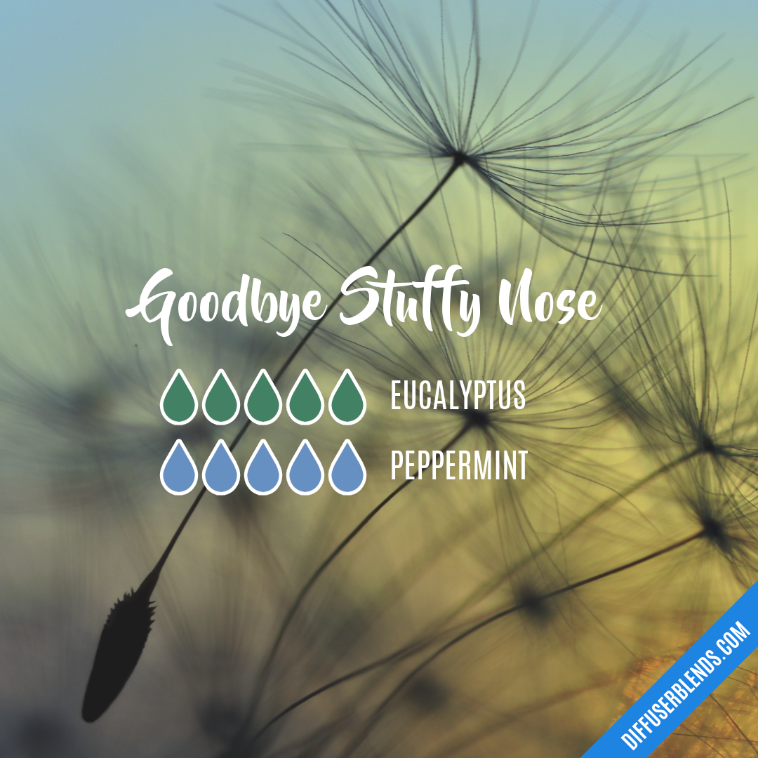 Goodbye Stuffy Nose — Essential Oil Diffuser Blend