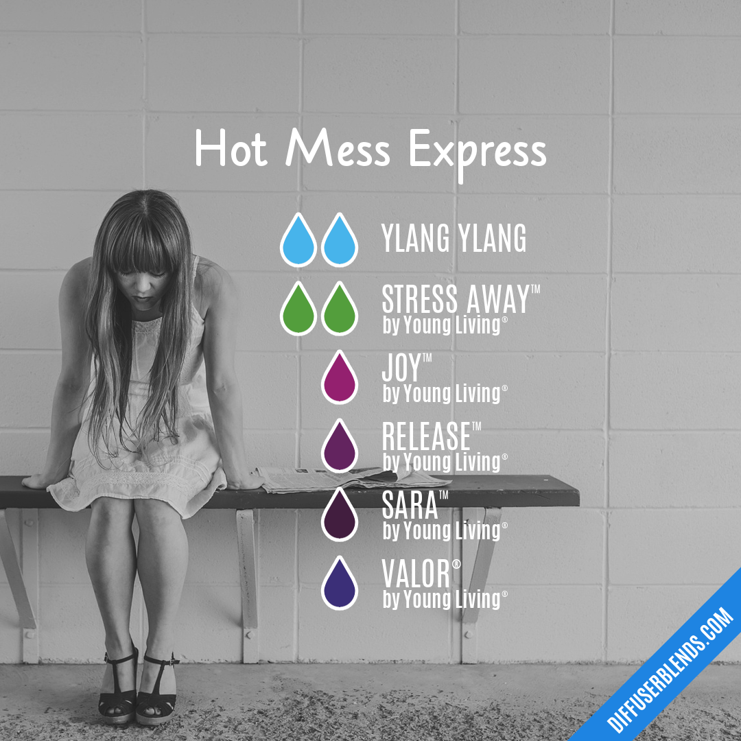 Hot Mess Express — Essential Oil Diffuser Blend