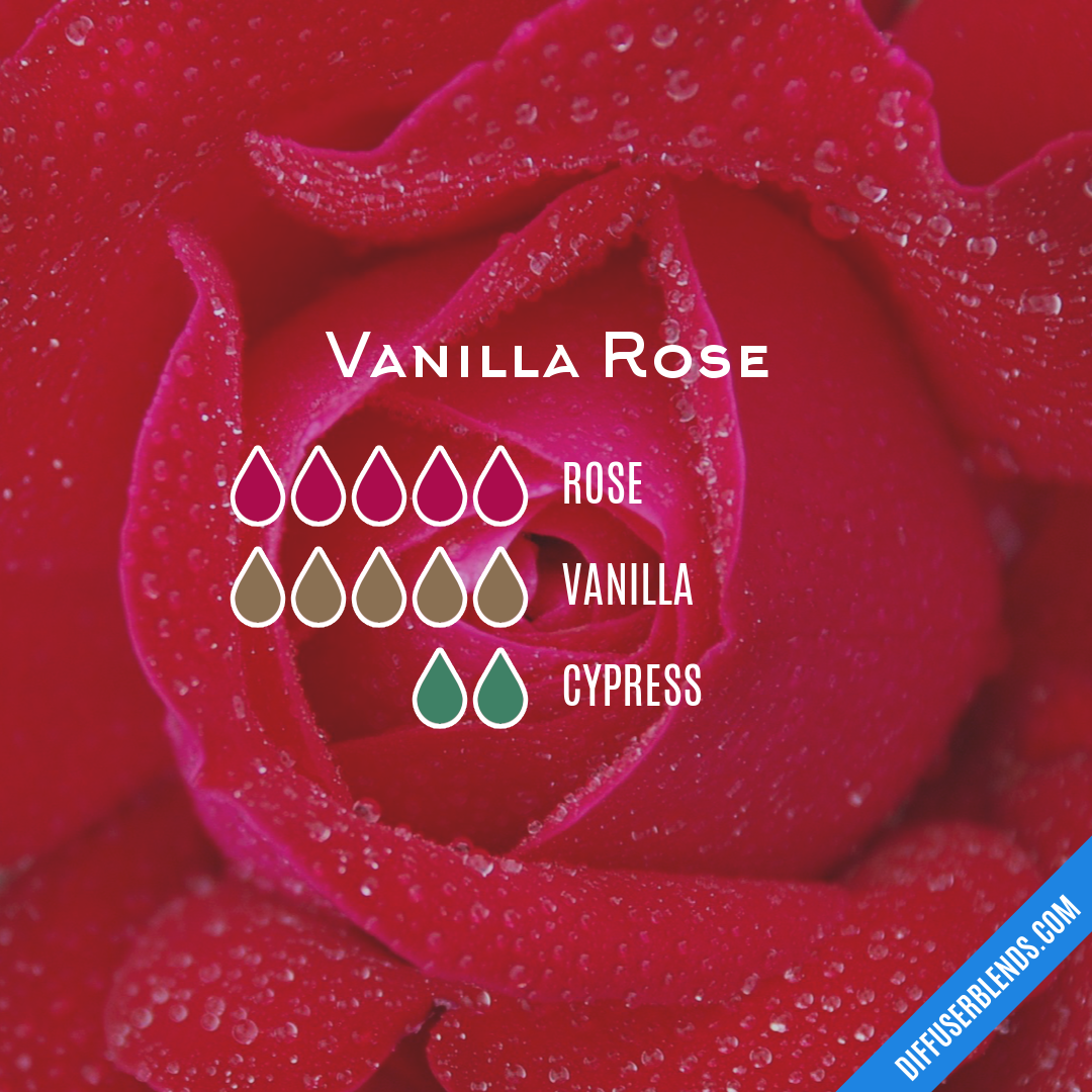 Vanilla Rose — Essential Oil Diffuser Blend