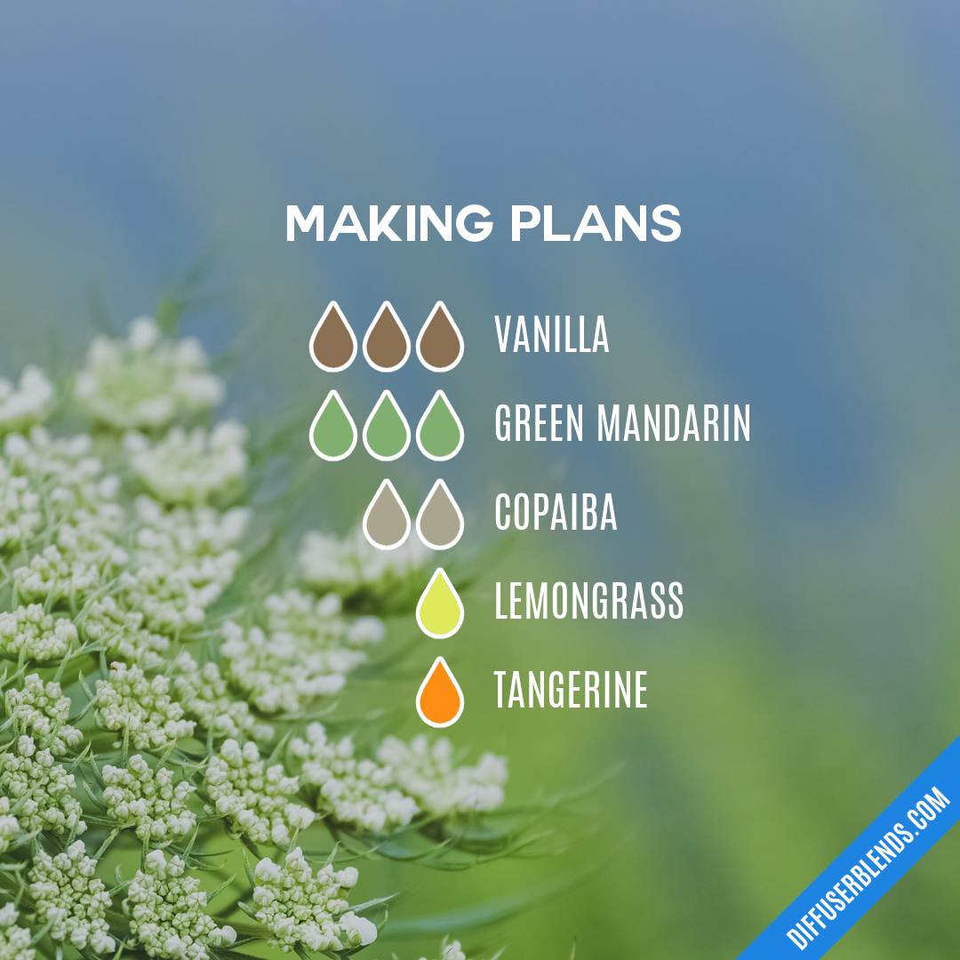 Making Plans — Essential Oil Diffuser Blend