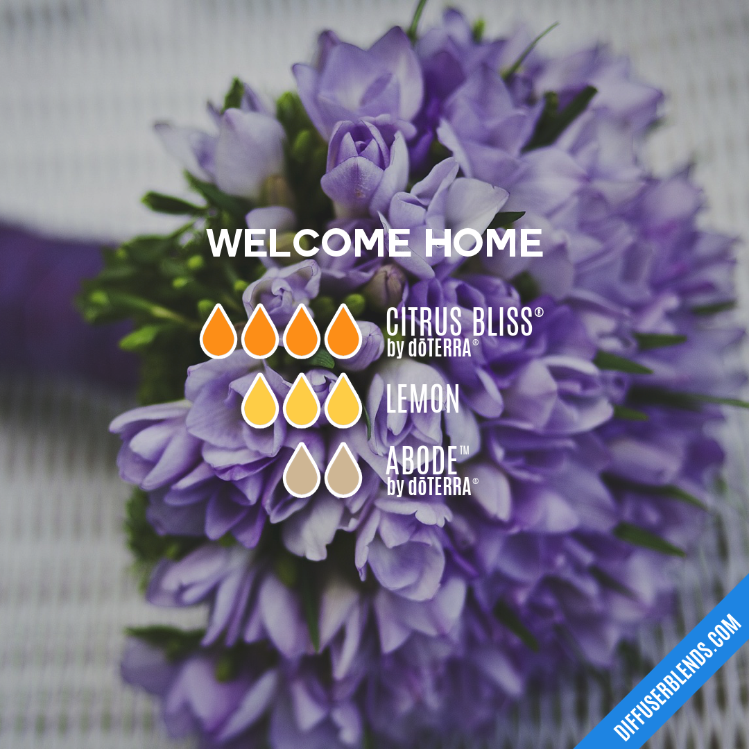 Welcome Home — Essential Oil Diffuser Blend