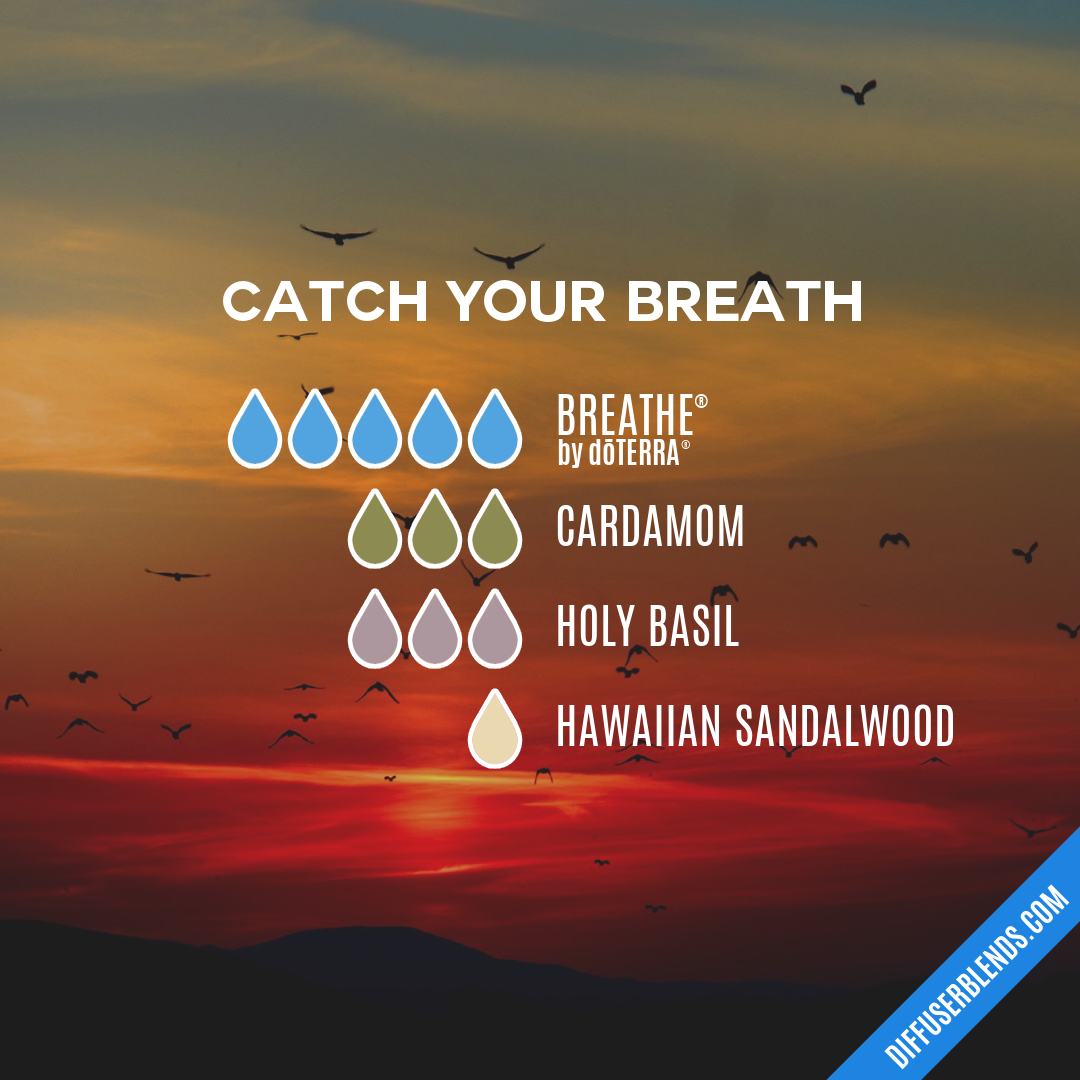 Catch Your Breath — Essential Oil Diffuser Blend