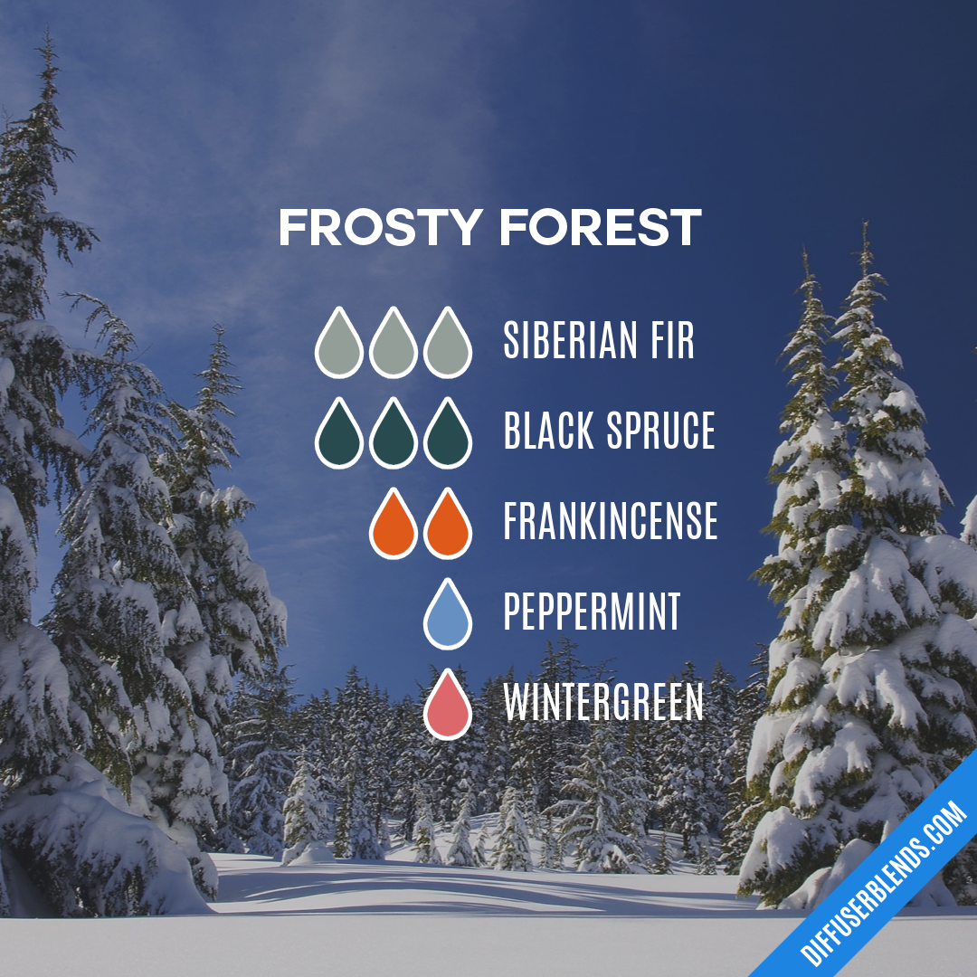 Frosty Forest — Essential Oil Diffuser Blend