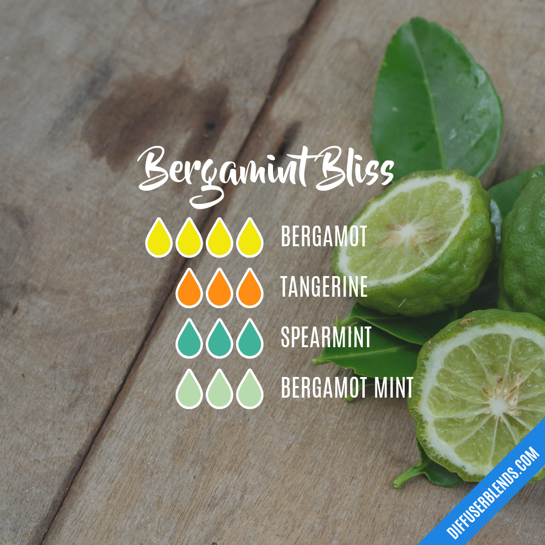 Bergamint Bliss | DiffuserBlends.com