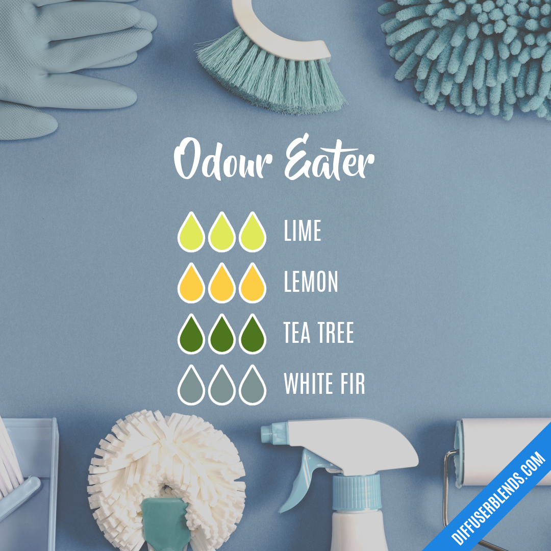 Odour Eater — Essential Oil Diffuser Blend