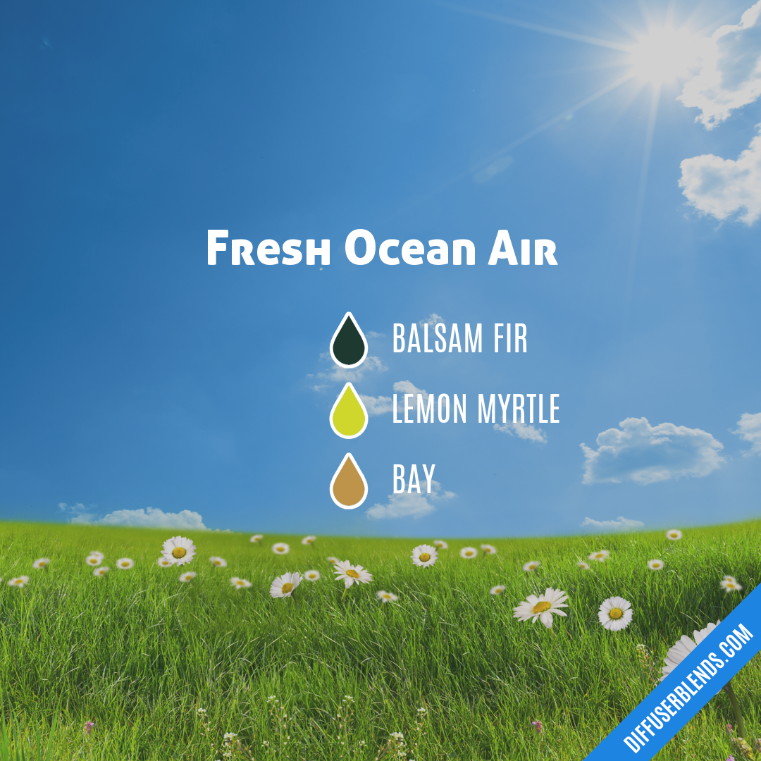 Fresh Ocean Air — Essential Oil Diffuser Blend