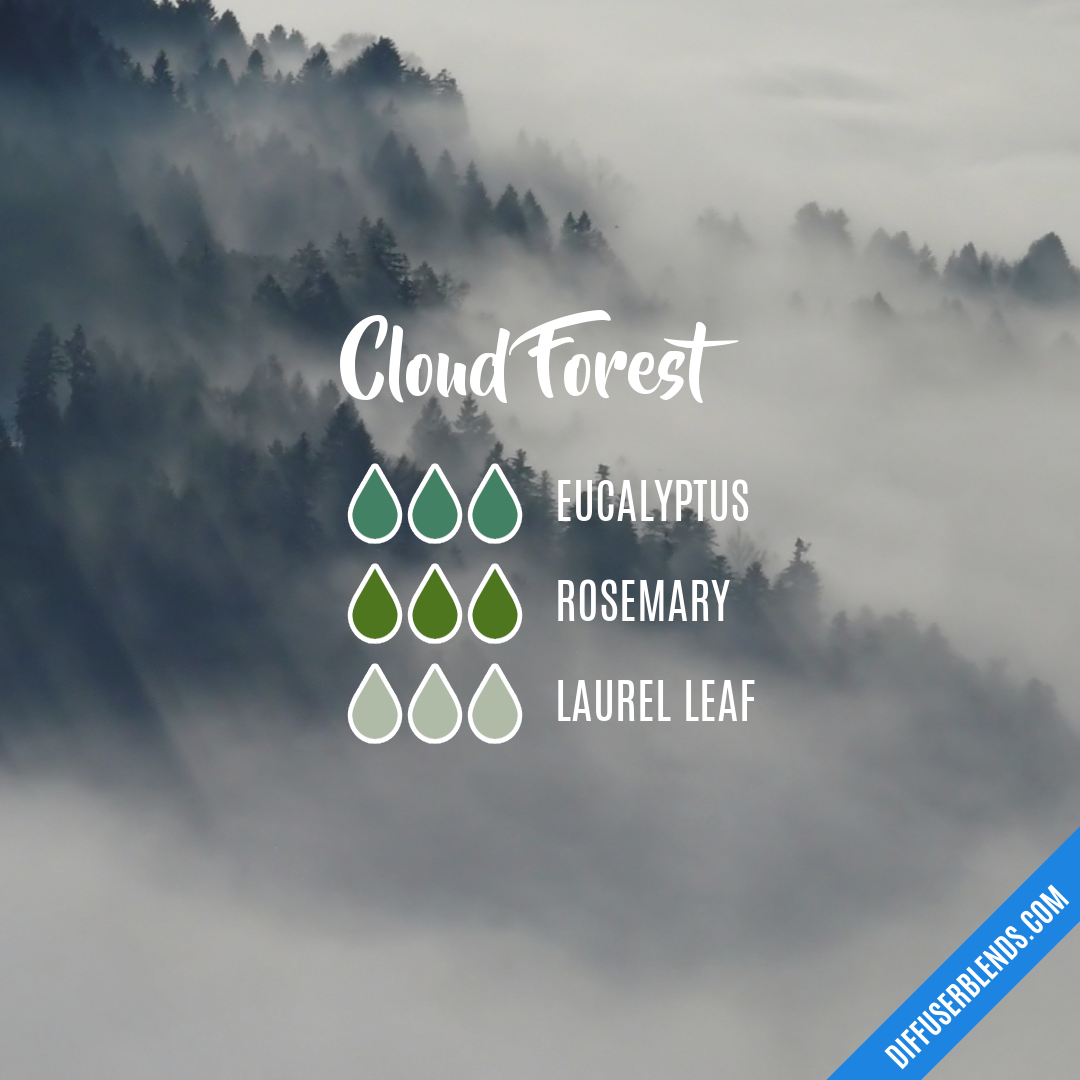 Cloud Forest — Essential Oil Diffuser Blend