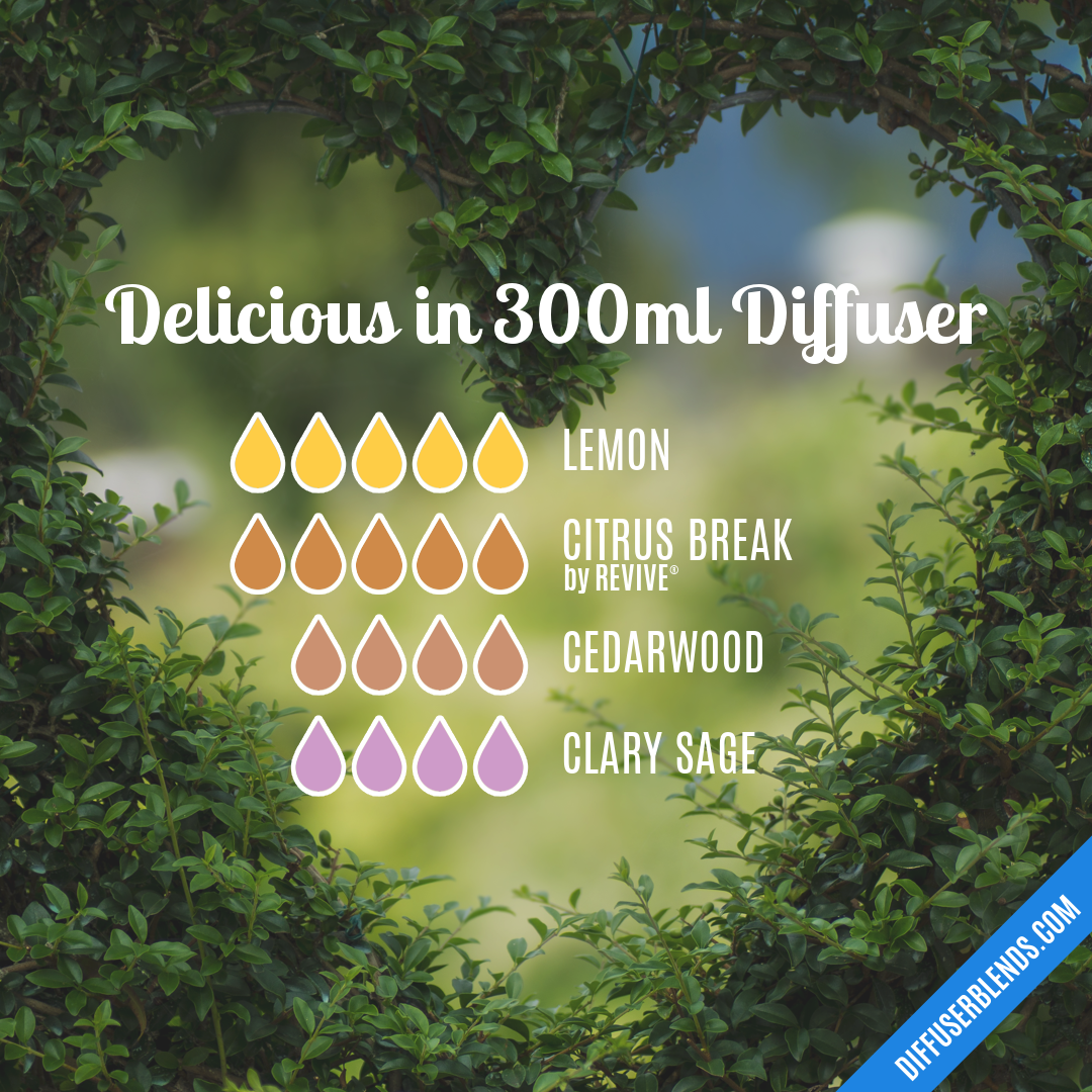 Delicious in 300ml Diffuser | DiffuserBlends.com