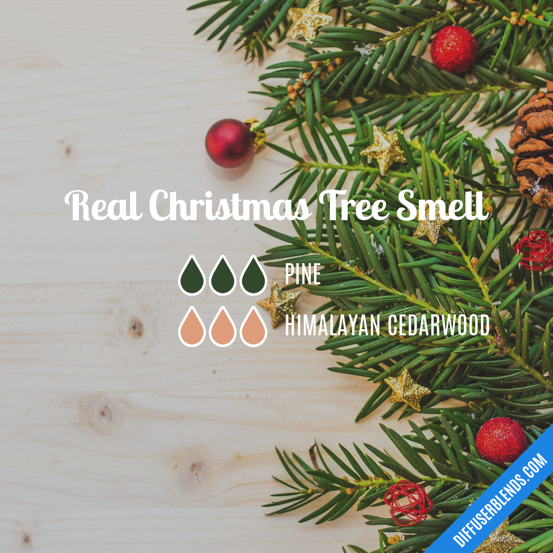 Real Christmas Tree Smell — Essential Oil Diffuser Blend