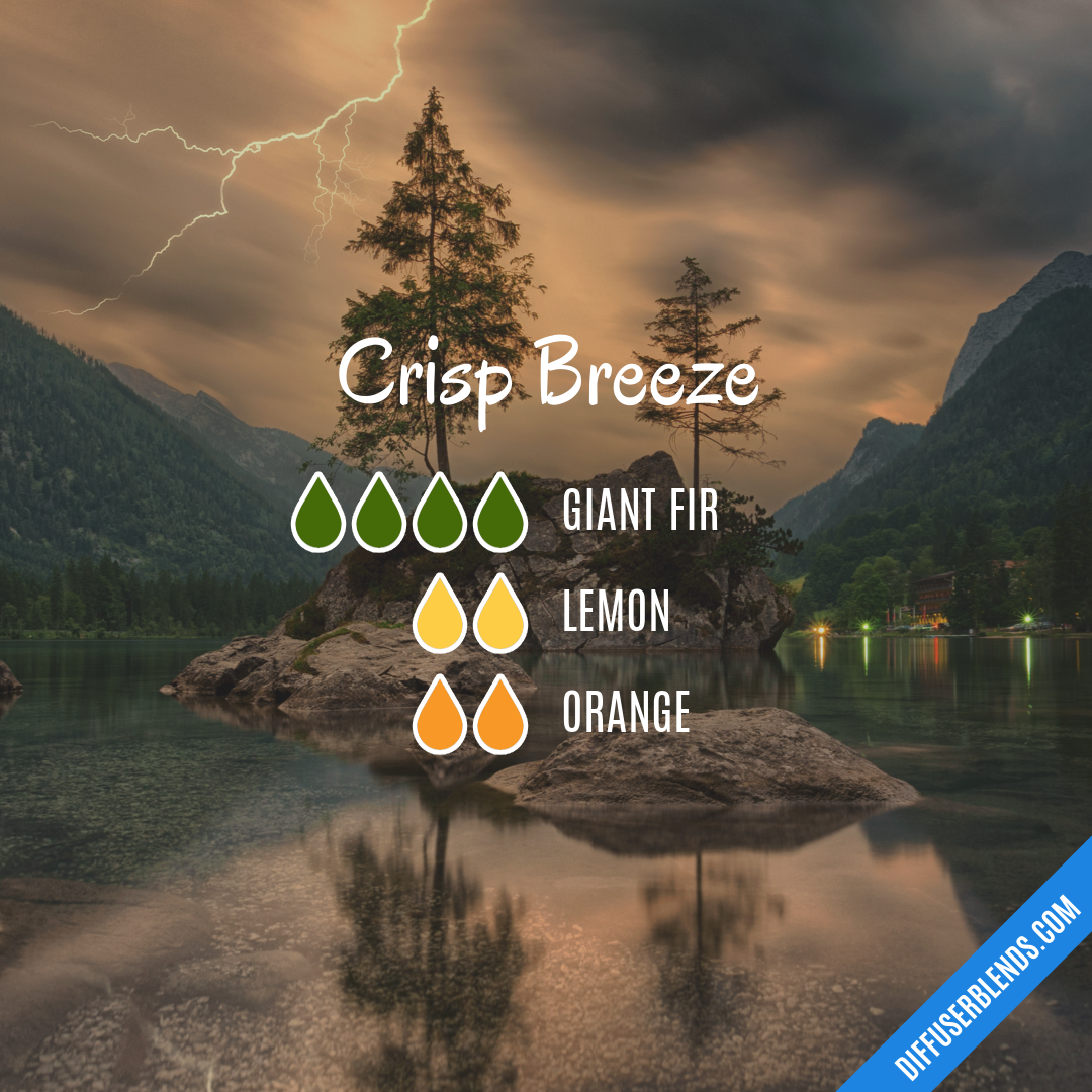 Crisp Breeze — Essential Oil Diffuser Blend