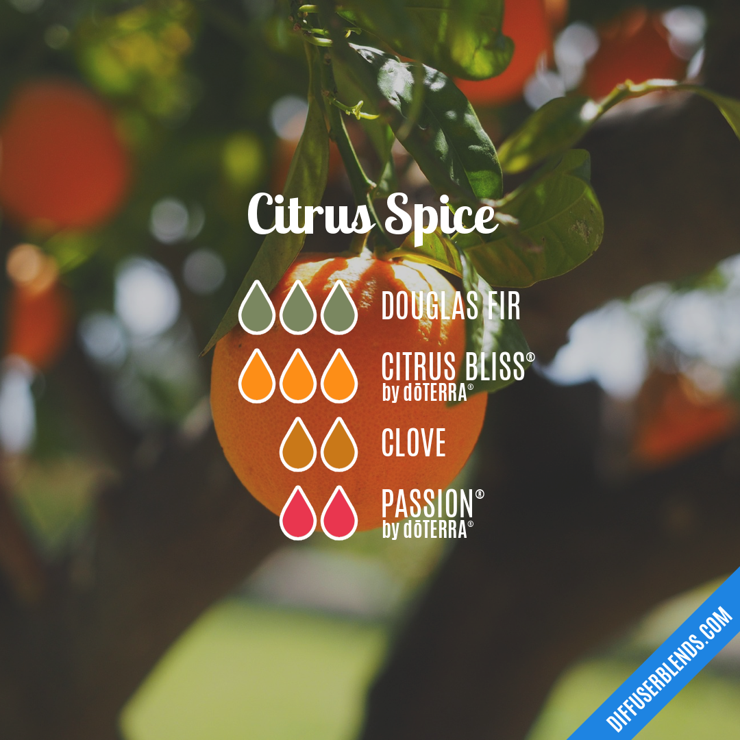 Citrus Spice — Essential Oil Diffuser Blend