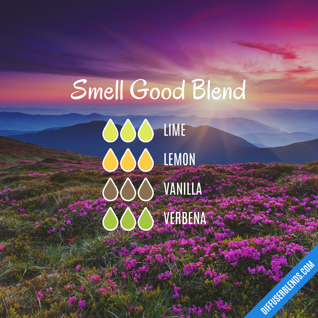 Smell Good Blend — Essential Oil Diffuser Blend