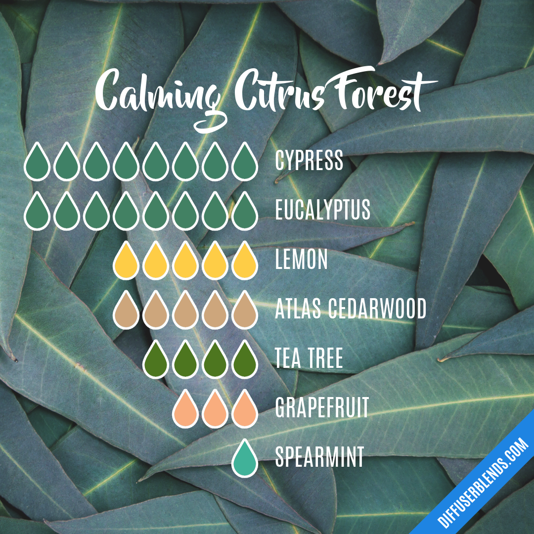 Calming Citrus Forest — Essential Oil Diffuser Blend