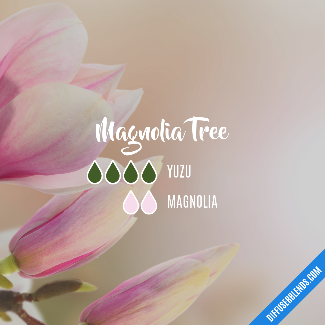 Magnolia Tree — Essential Oil Diffuser Blend