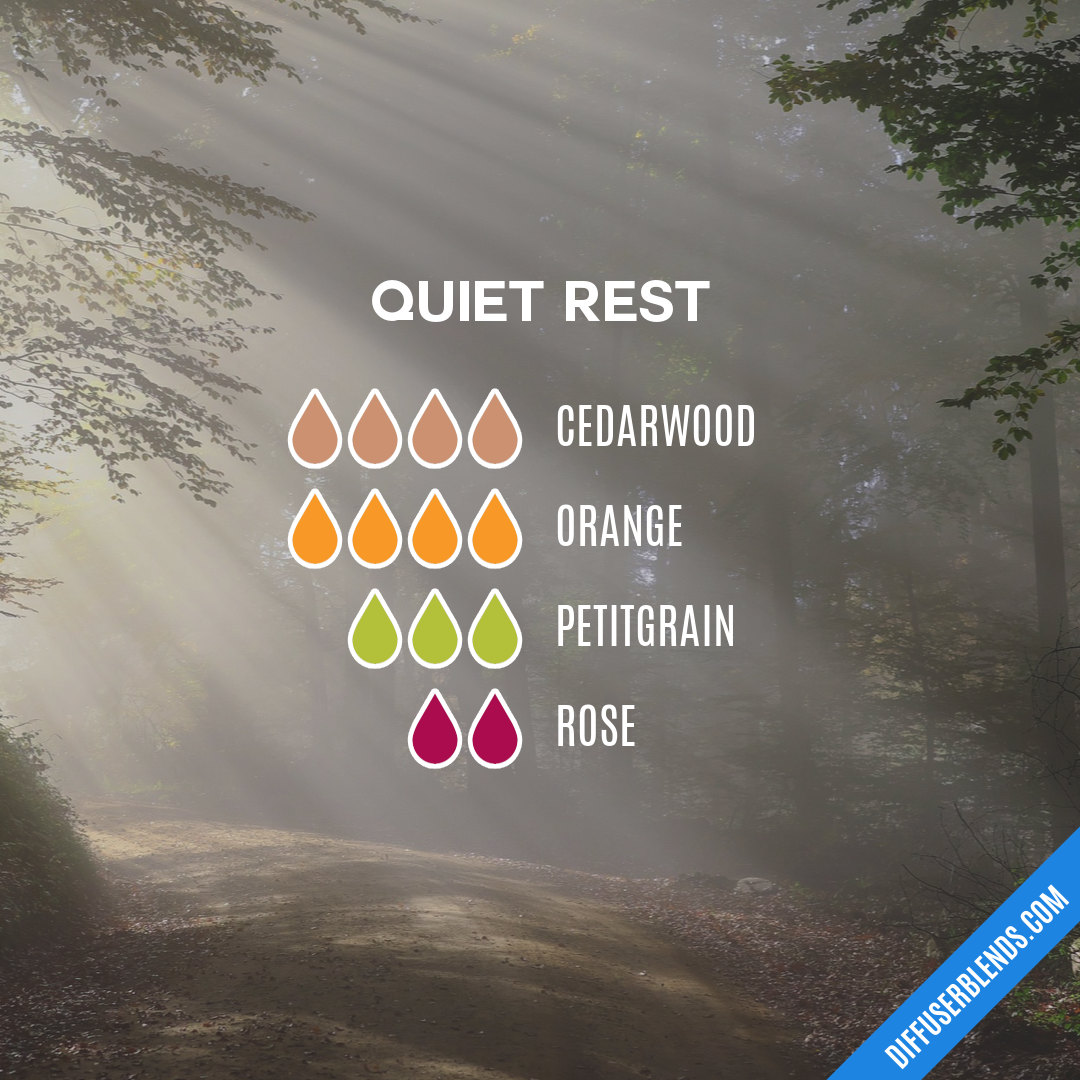 Quiet Rest — Essential Oil Diffuser Blend