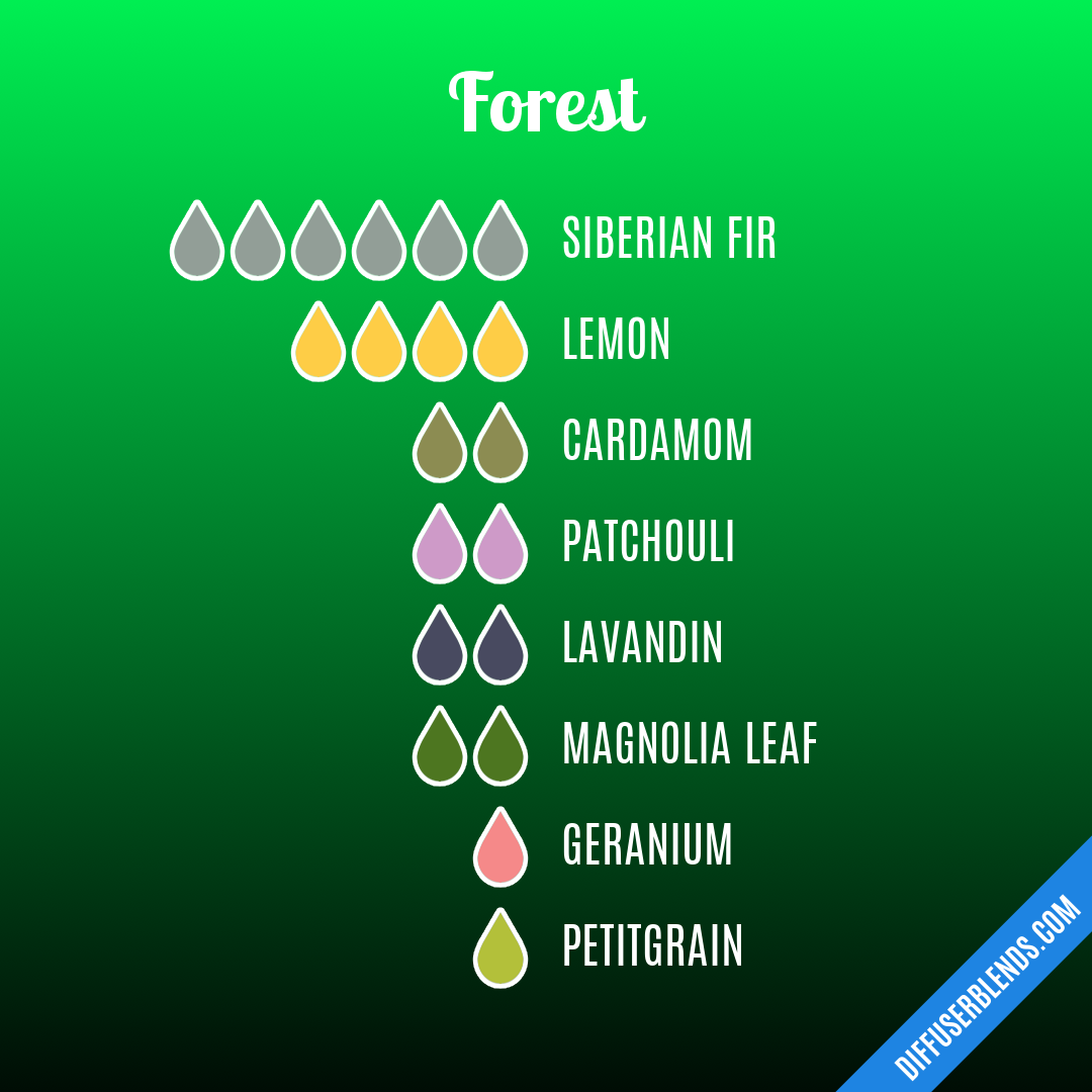 Forest — Essential Oil Diffuser Blend