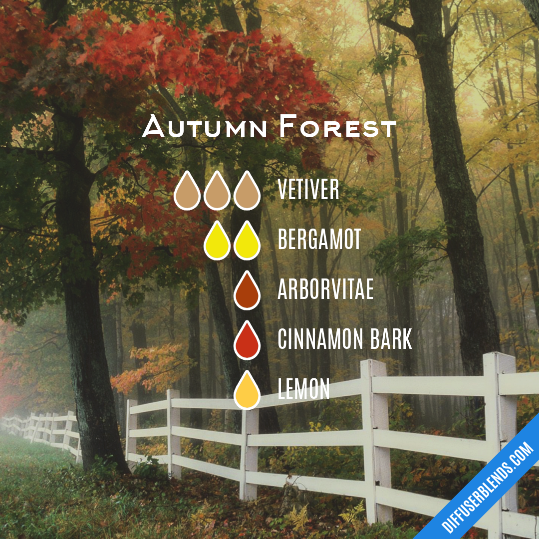 Autumn Forest — Essential Oil Diffuser Blend