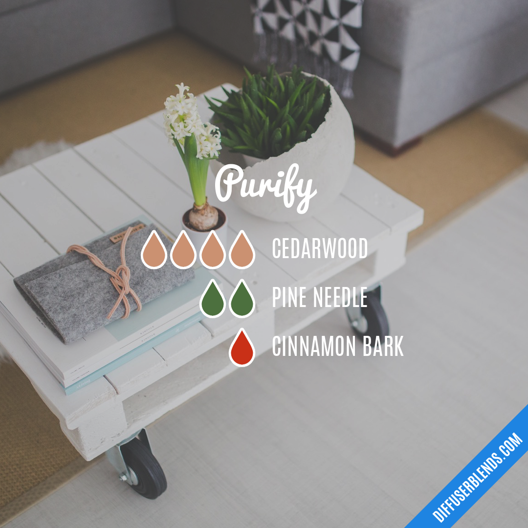 Purify — Essential Oil Diffuser Blend