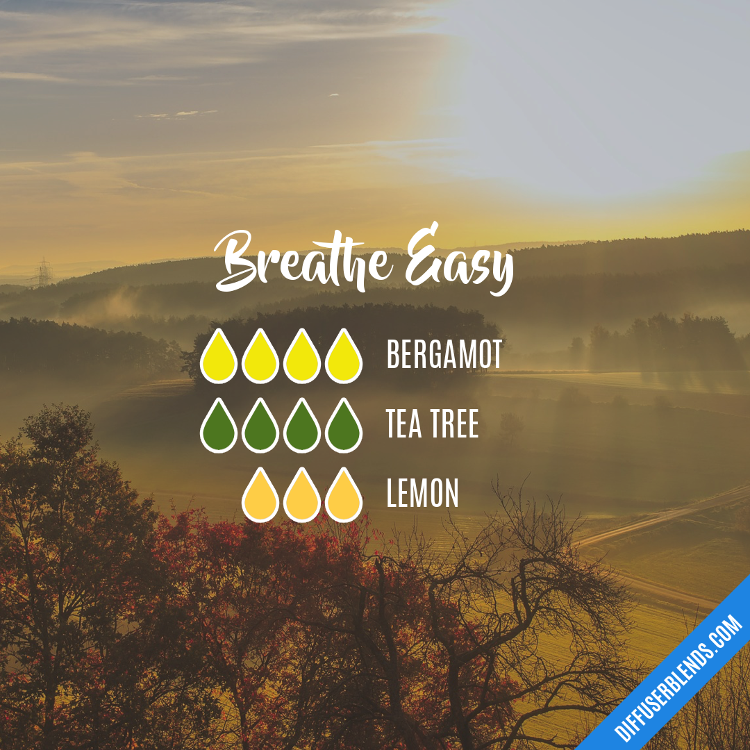 Breathe Easy — Essential Oil Diffuser Blend