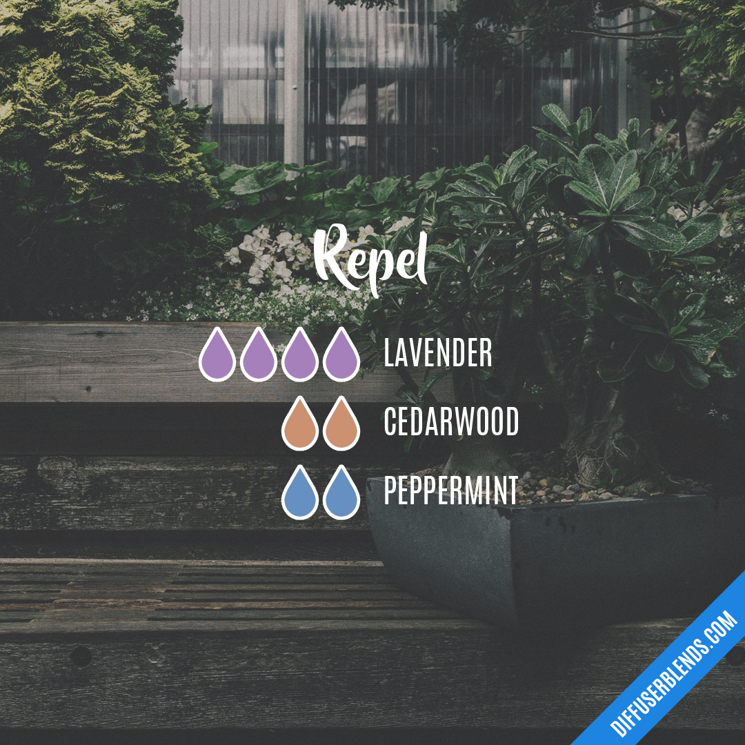 Repel — Essential Oil Diffuser Blend