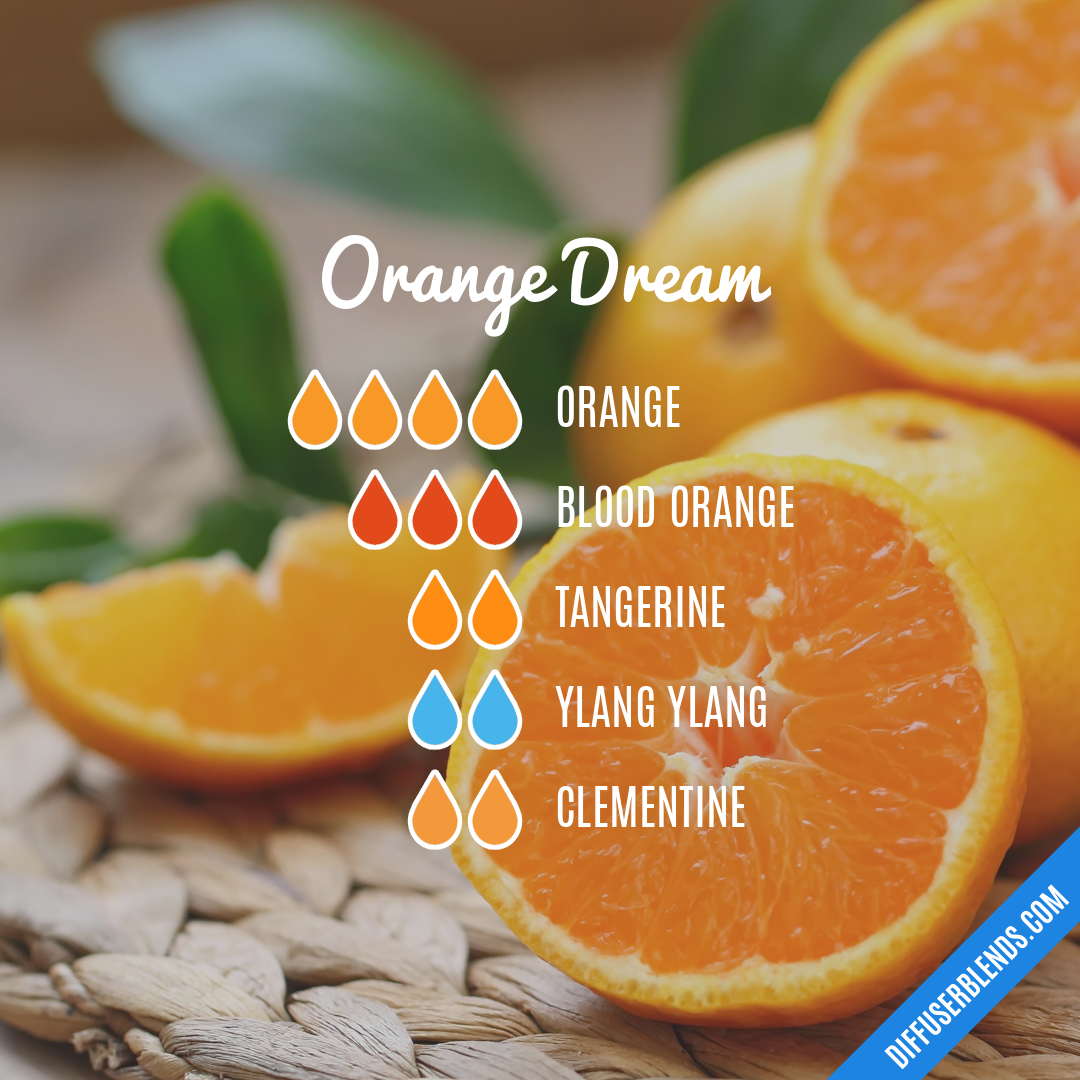 Orange Dream — Essential Oil Diffuser Blend